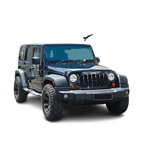 Jeep Wrangler Rubicon Black - BaliPremium Trip