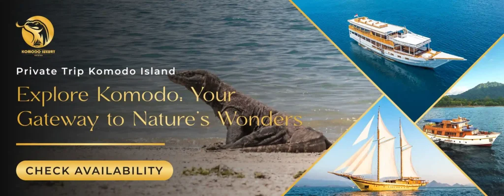 Banner Private Komodo Island Tour Packages | Komodo Luxury