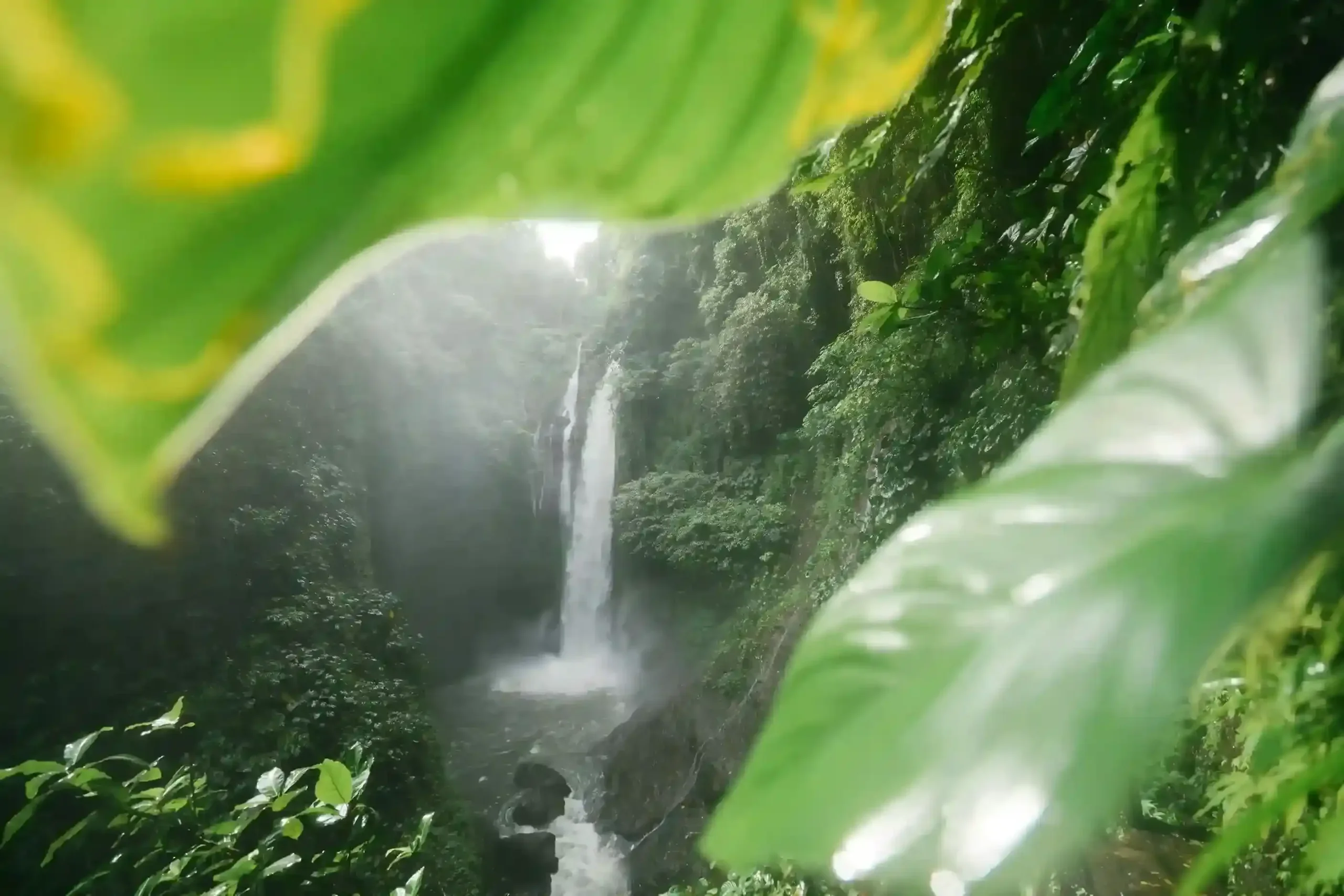 Tibumana Waterfall (source: pexels.com)