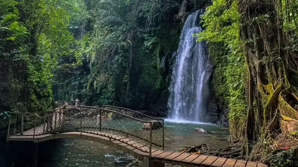 Ulu Petanu Waterfall (source: desakedisan.id)