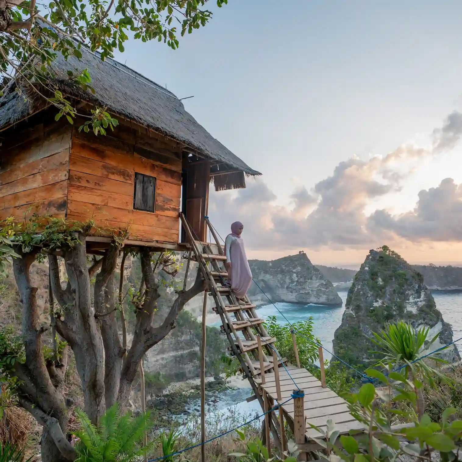 Tree House | Nusa Penida Tour | Bali Premium Trip