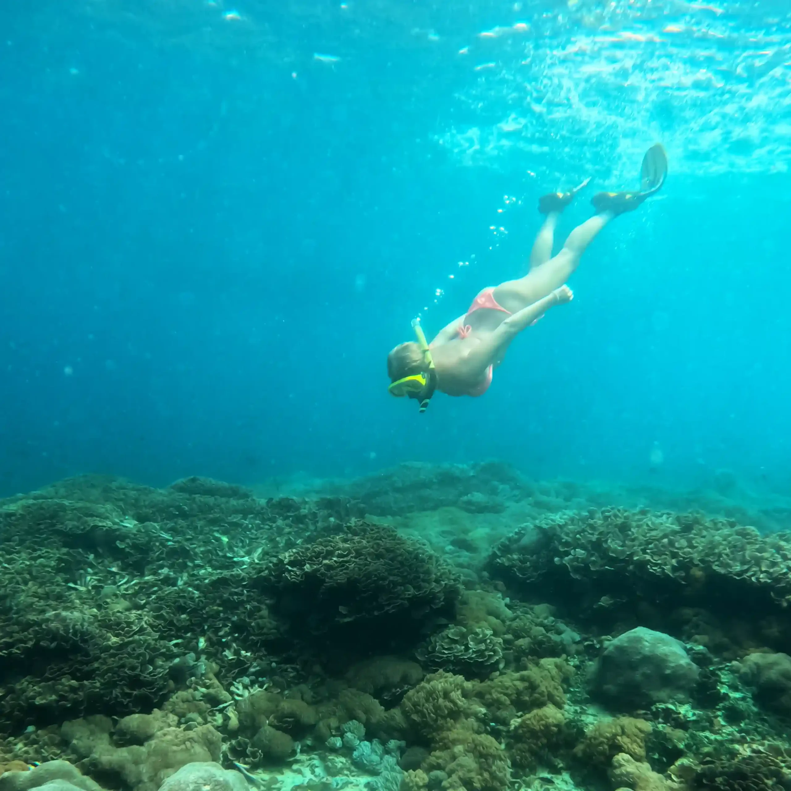 Snorkeling | Nusa Penida Tour | Bali Premium Trip