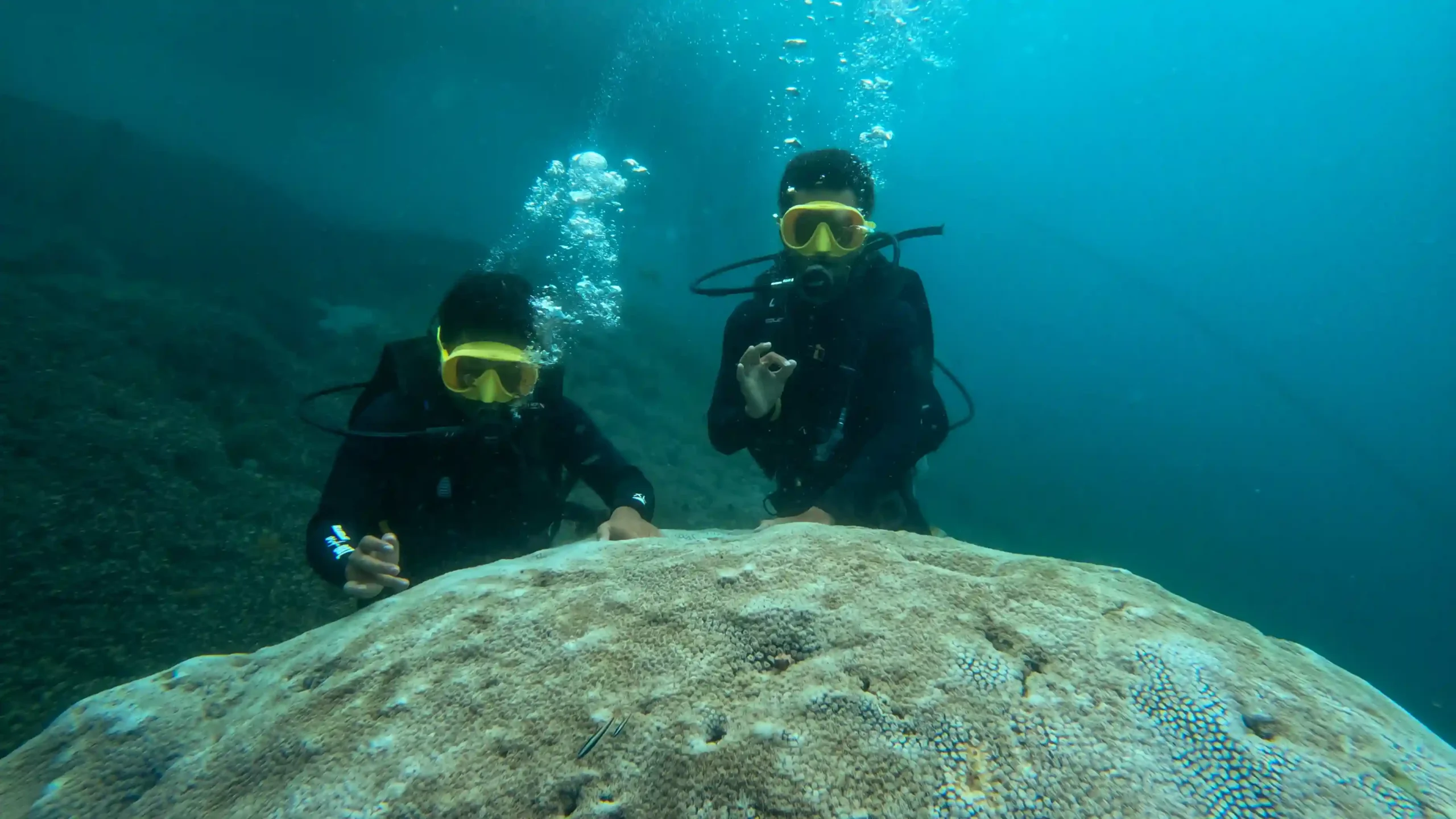 Scuba Diving | Nusa Penida Tour | Bali Premium Trip