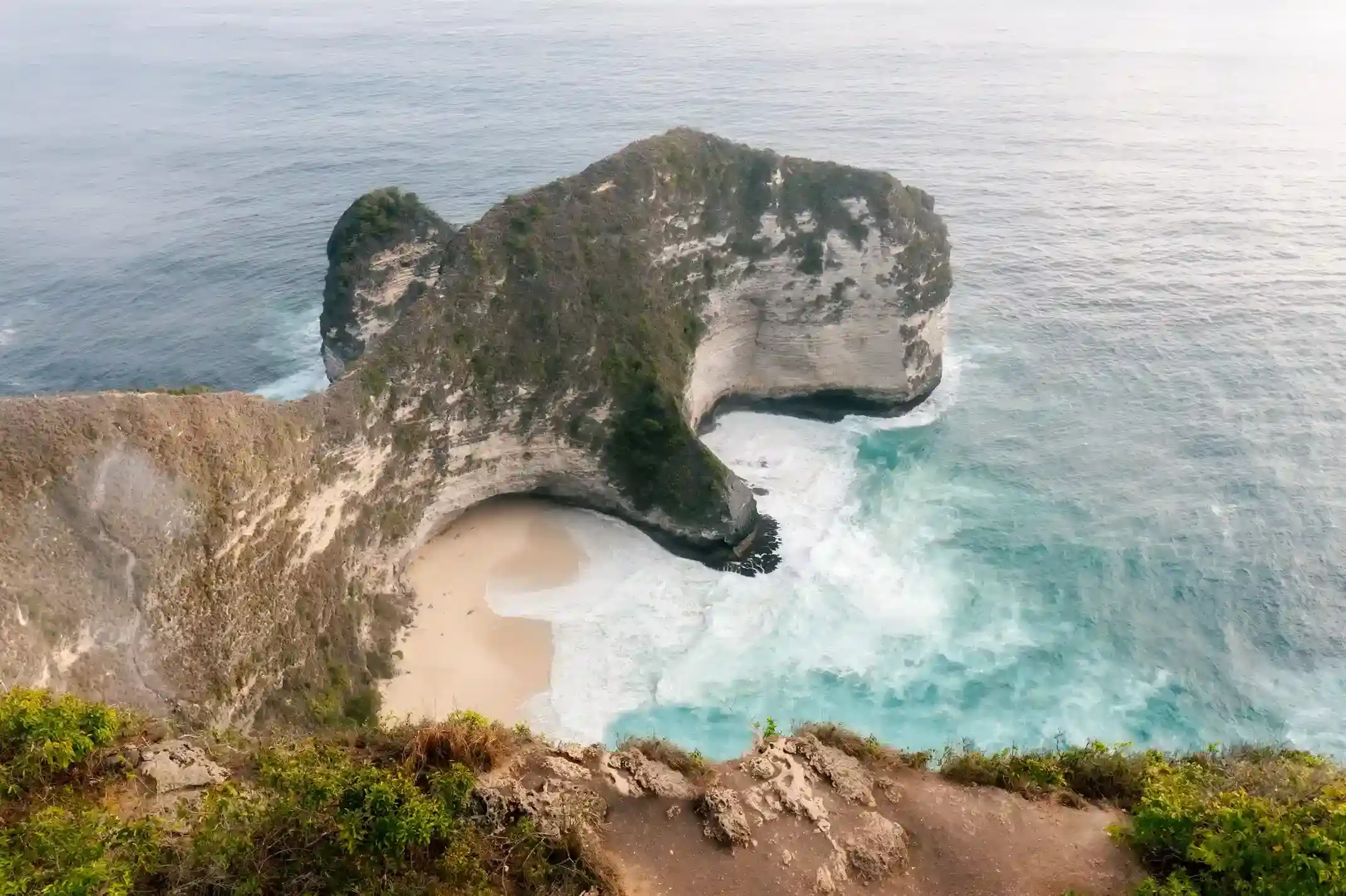 Kelingking Beach | Nusa Penida Tour by Bali Premium Trip