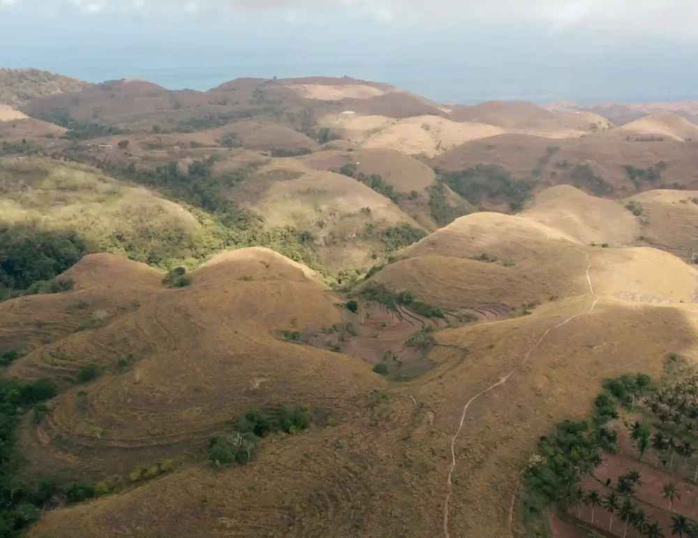 Teletubbies Hills