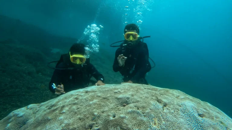 Diving & Snorkeling | Premium Bali Trip | Bali Premium Trip