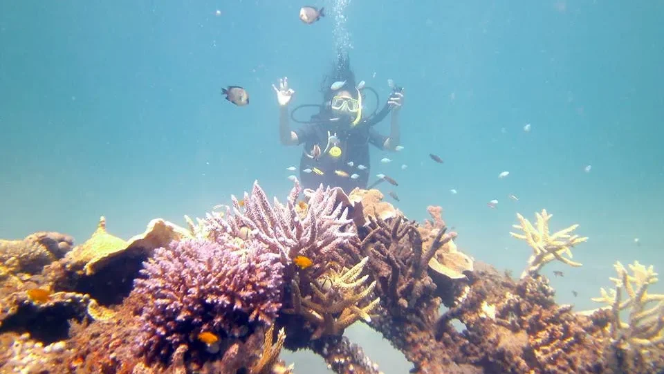 Pemuteran Snorkeling 