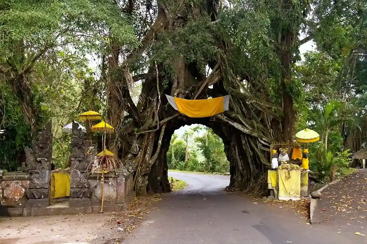 West Bali Tour