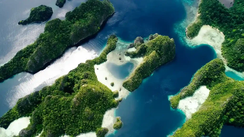 Earth's Most Biodiverse Sea