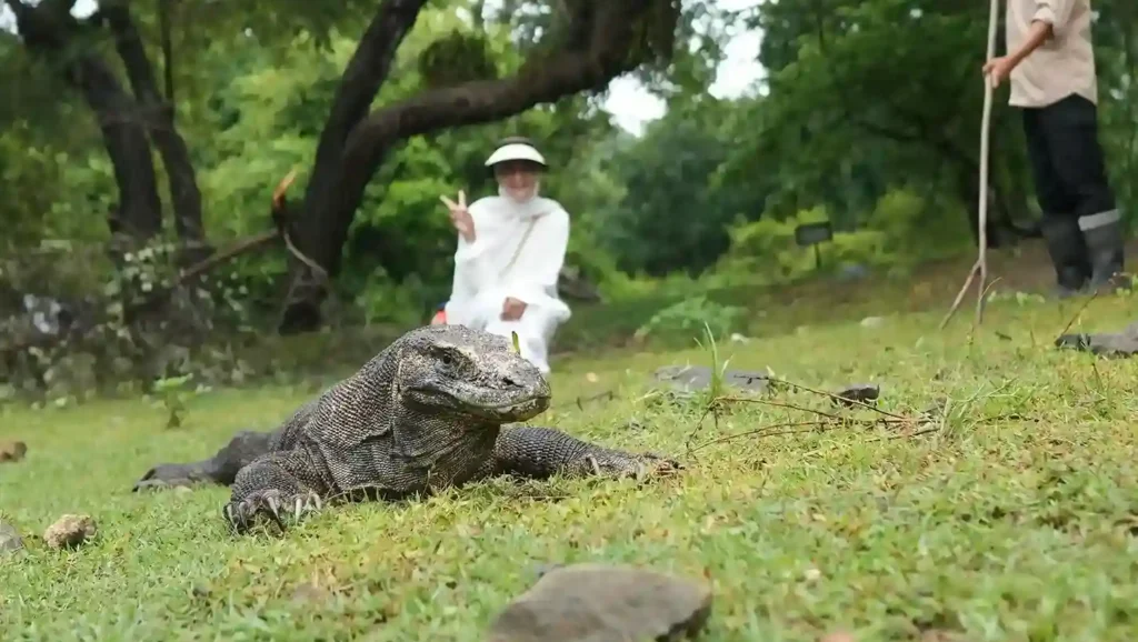 Komodo tour with Bali Premium Trip