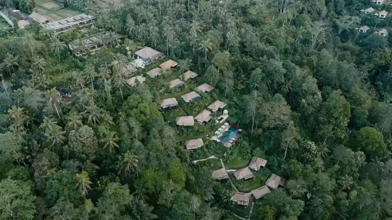 Nandini Resort and Jungle by Hanging Gardens | Bali Premium Trip