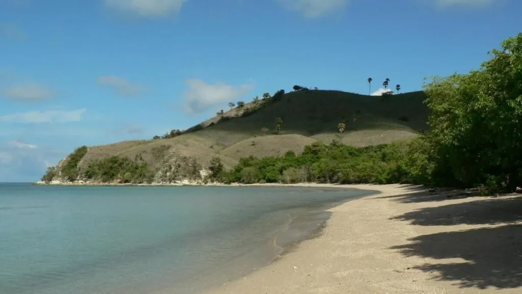 Waecicu Beach| Rental Mini Cooper Labuan Bajo | Bali Premium Trip