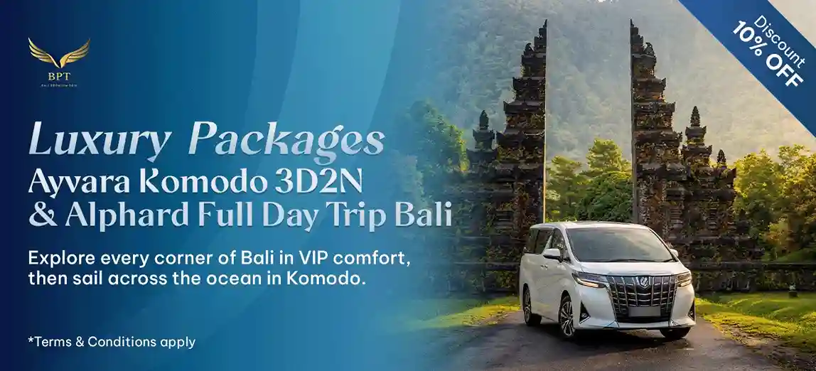 Alphard x Ayvara Bundle Package Premium