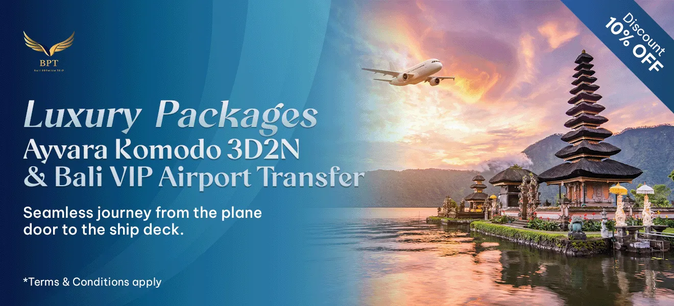 Transfer x Ayvara Bundle Package Premium