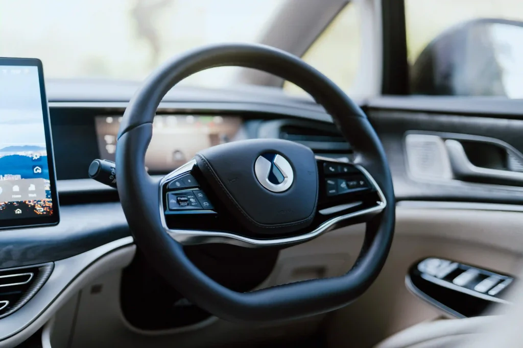 Denza Interior 1 | Bali Premium Trip