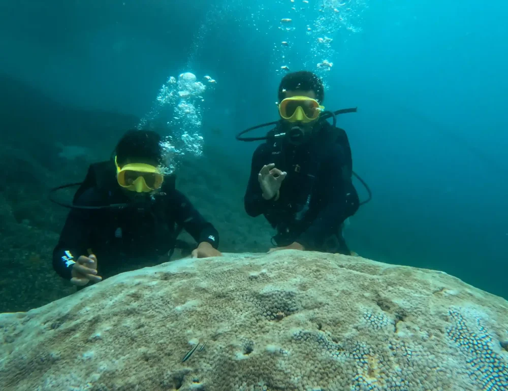 Scuba Diving | Nusa Penida Tour | Bali Premium Trip