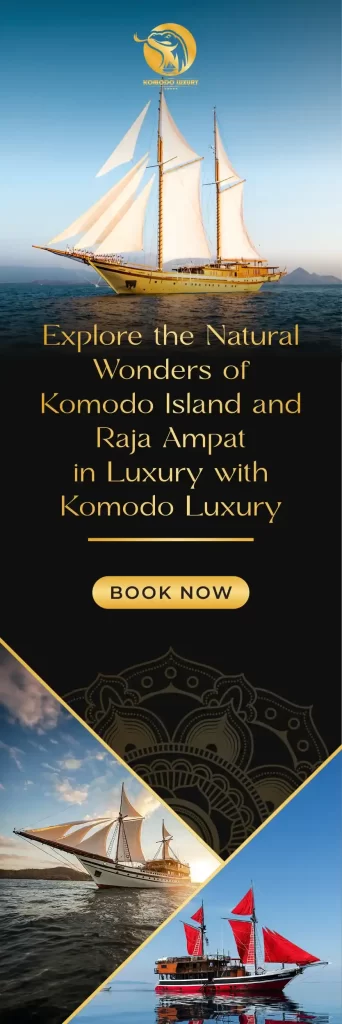 Komodo Luxury Banner
