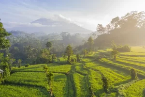 Lembah di Bali