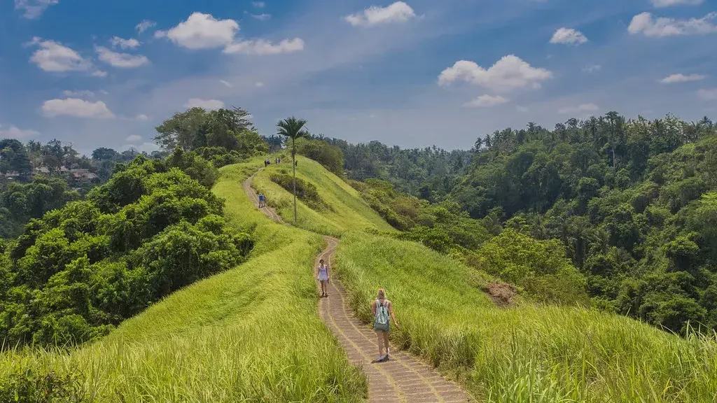 Campuhan Ridge Walk (sumber: flickr.com)