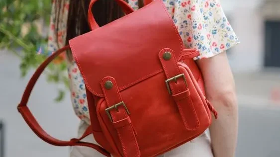 Mini Backpack (sumber: pinterest.com)