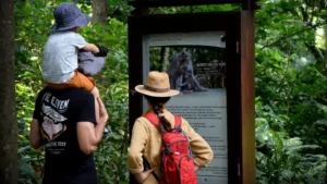 Monkey Forest Ubud | Tempat Liburan Keluarga di Bali