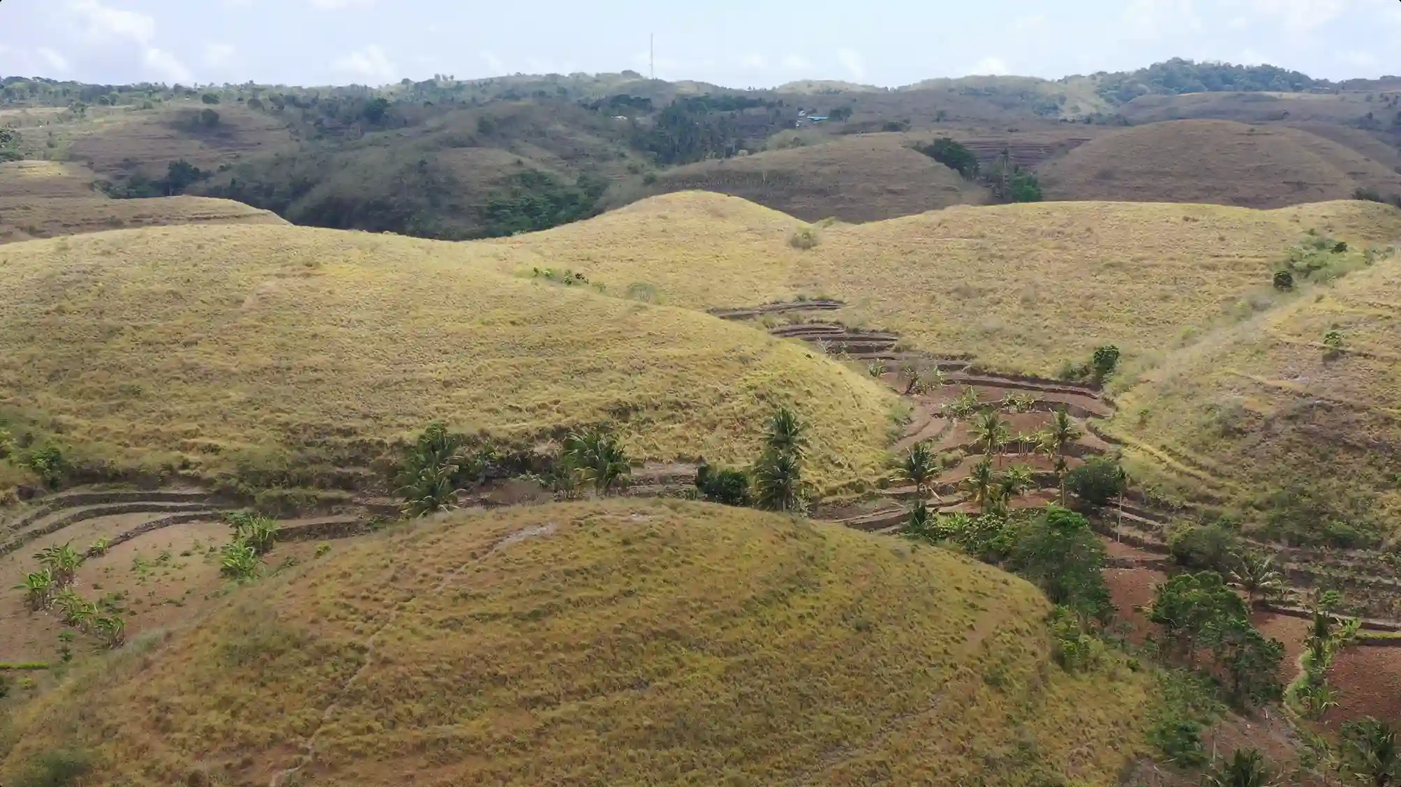 Bukit Teletubies di Nusa Penida | Nusa Penida Tour | Bali Premium Trip