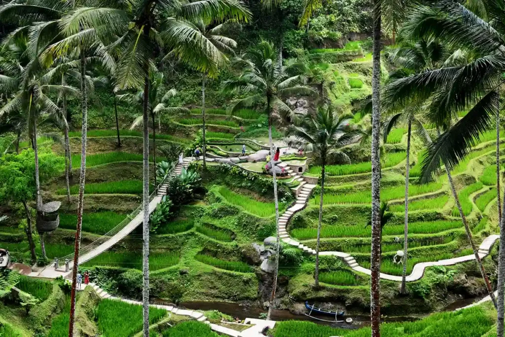 Ubud Tour by Bali Premium Trip