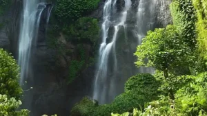 Air Terjun Sekumpul | Photo by commons.wikimedia.org