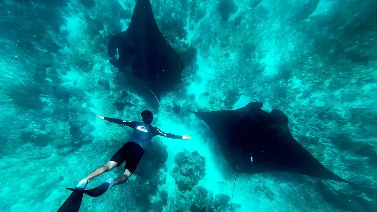 Foto bersama Manta | Bali Premium Trip