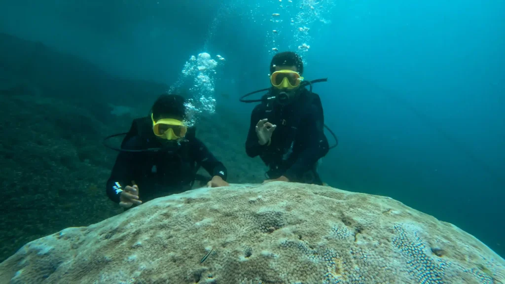 Diving & Snorkeling | Premium Bali Trip | Bali Premium Trip