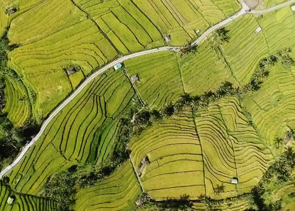 Jatiluwih | Heli Tour Bali | Heli Transfer Bali | Bali Premium Trip