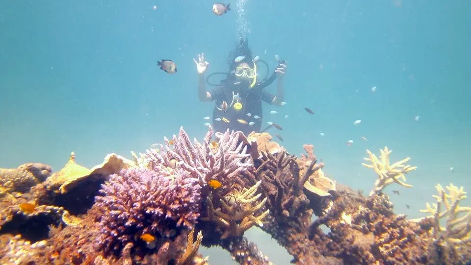 Snorkeling di Pemuteran Bali (sumber: wikimedia-commons)