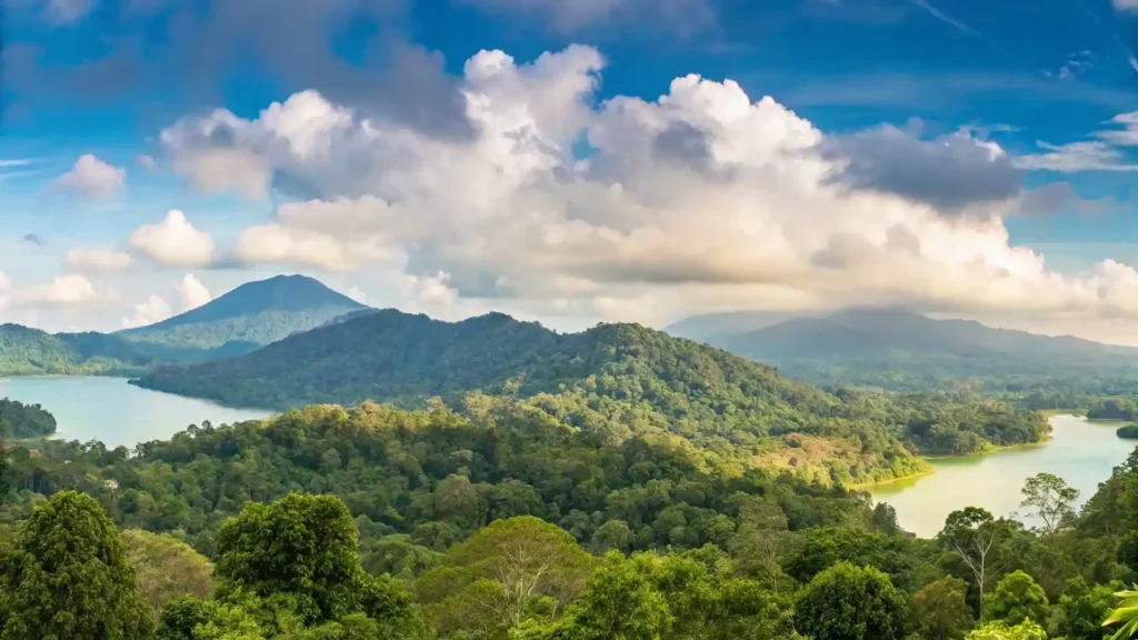 Bedugul Tour | Wanagiri Hidden Hill | Bali Premium Trip