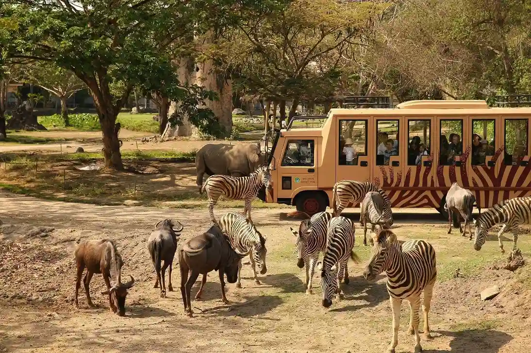 Bali Safari Park Kintamani Tour