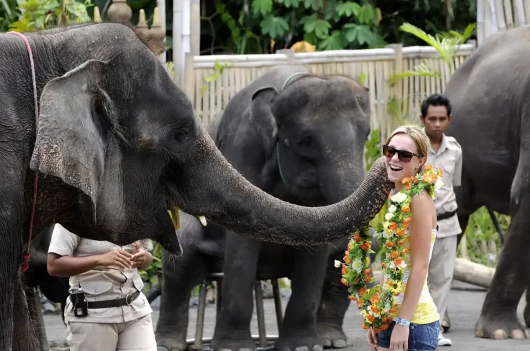 Bali Safari Park Tanah Lot Tour | Bali Premium Trip