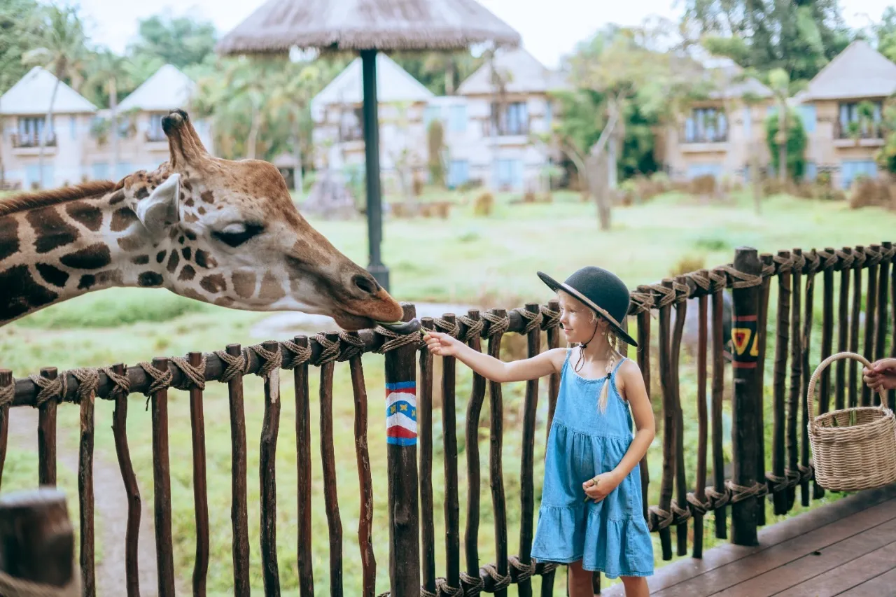 Bali Safari Park Ubud Tour