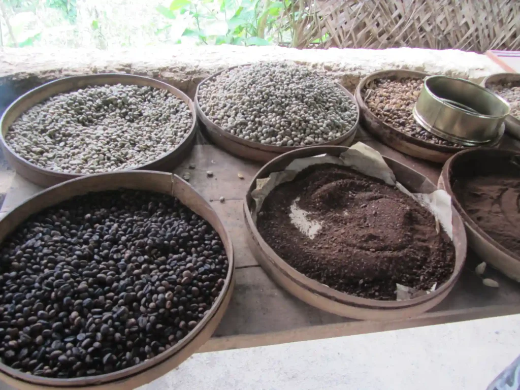 Biji Kopi Kintamani (Sumber: Wikimedia Commons)