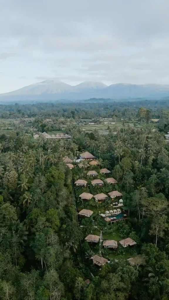 Nandini Villa Jungle and Resort | Bali Premium Trip