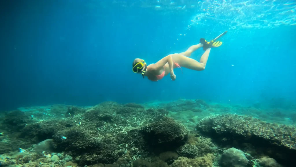 Snorkeling di Nusa Penida | Nusa Penida Tour | Bali Premium Trip