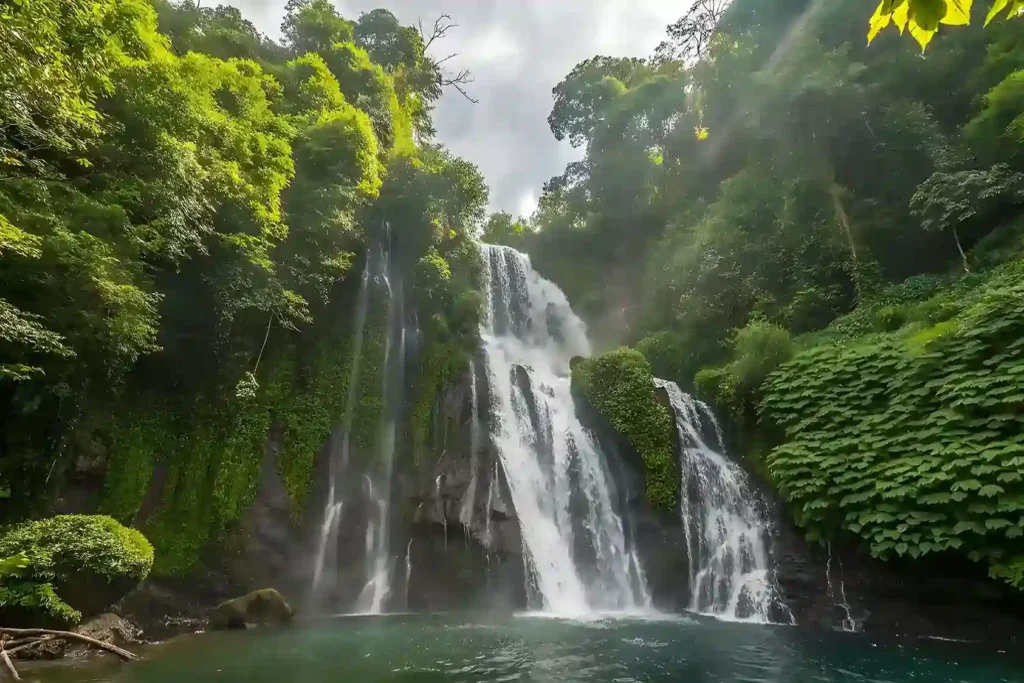 Banyumala Waterfall Tour | Bali Premium Trip