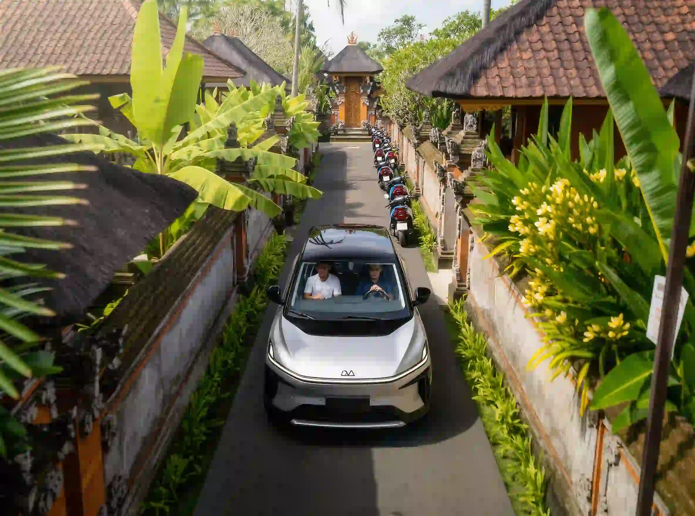 Bali Chauffeur-Driven Private Tour | One Chauffeur-Guide
