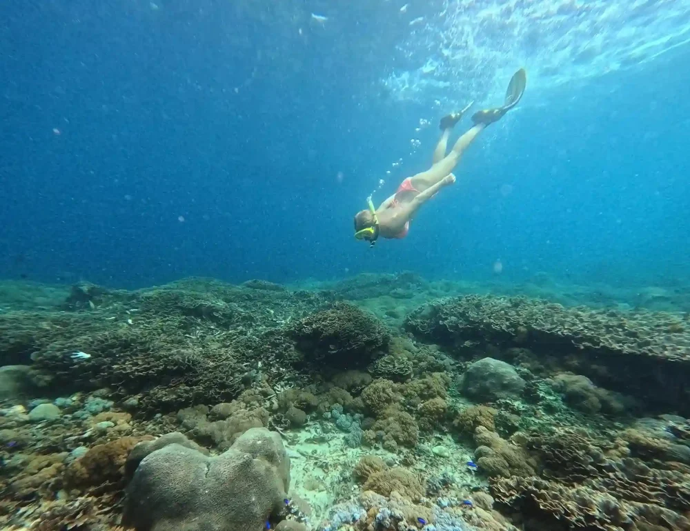 Snorkeling spot di Nusa Penida | Nusa Penida Tour | Bali Premium Trip